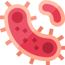 Heart defects
